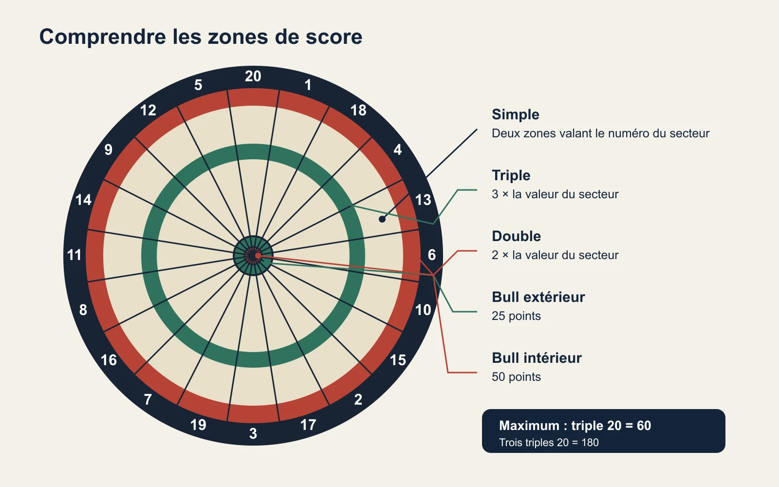 Schéma de l'anatomie d'une cible : secteurs simples, doubles, triples, bull extérieur à 25 et bull intérieur à 50.